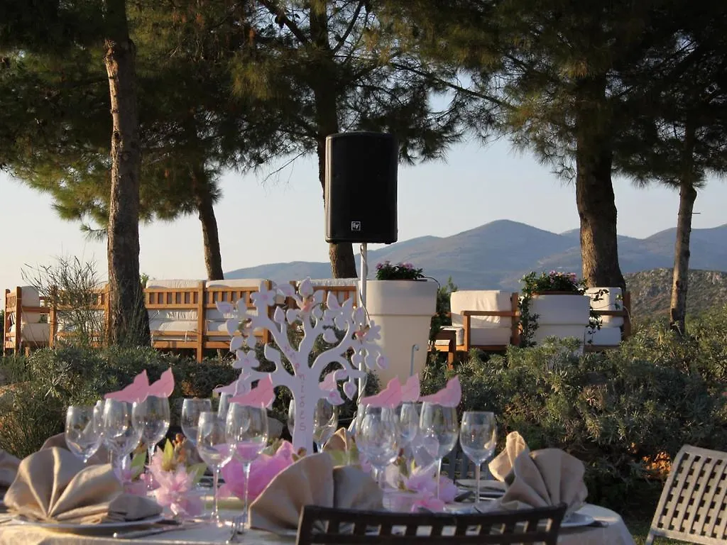Enalion Suites Lassi